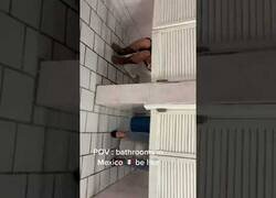 Enlace a Estos baños en México en los que la intimidad es lo de menos