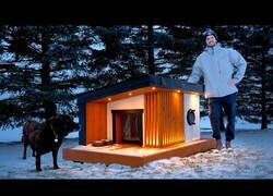 Enlace a Construyendo una lujosa caseta para el perro con suelo calefactado