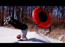 Enlace a Los mejores 'fails' en la nieve