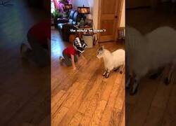 Enlace a Cariño, ya tengo al niño entretenido...