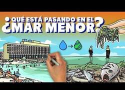Enlace a ¿Qué está pasando en el Mar Menor?