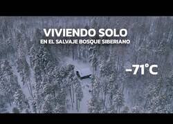 Enlace a Viviendo durante 20 años en un bosque a -71ºC