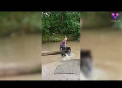 Enlace a Tenemos candidato a Padre del Año