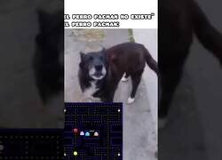 Enlace a El Perro Pacman