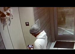 Enlace a Salva a un perro que había quedado colgado en la puerta de un ascensor