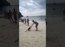 Enlace a La peligrosa playa de monos en Tailandia