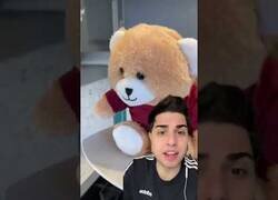 Enlace a ¿Sabías que venden peluches para calentar y comer?