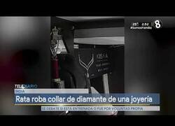 Enlace a Una rata roba un collar de diamantes en una joyería