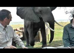 Enlace a Los 'fails' más salvajes