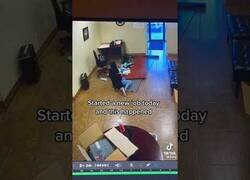 Enlace a Primer y desafortunado día de trabajo