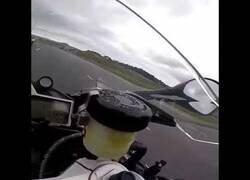 Enlace a Inesperado encuentro a 320 km/h