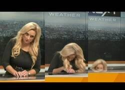 Enlace a Meteoróloga se desmaya y cae en pleno directo