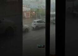 Enlace a Le abren la puerta a una paloma que huía del granizo