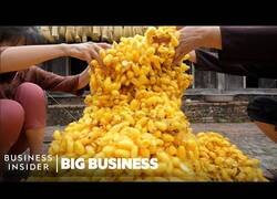 Enlace a Así se cultivan gusanos para producir seda