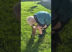 Enlace a Niño juega con canguros bebés