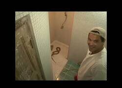 Enlace a La primera aparición de Frank Cuesta en televisión