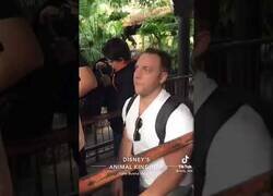 Enlace a Hombre hinca rodilla por todo el parque Disney sabiendo que su chica odia las escenitas