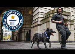Enlace a El perro super entrenado que salvó a Obama