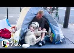 Enlace a Un perro y su dueño cambian la vida 180 grados a este vagabundo