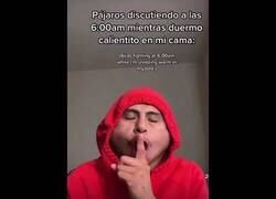 Enlace a Los pájaros discutiendo mientras duermo