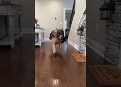 Enlace a El héroe que necesito cuando se cae comida al suelo