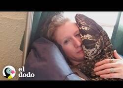 Enlace a La gran relación entre esta mujer y su lagarto gigante