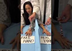 Enlace a El experimento de la mano falsa que juega con tu mente