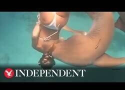 Enlace a Tiburón muerde el hombro de una chica