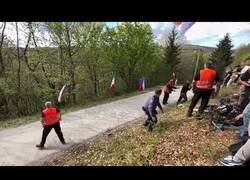 Enlace a Fans se pelean en la recta final de un circuito de Rally