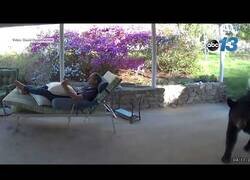 Enlace a Cuando un oso interrumpe tu descanso