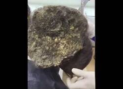 Enlace a Cuando no te lavas el pelo en 3 años