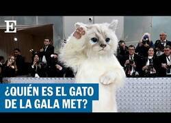 Enlace a Jared Leto se disfraza de gato gigante en la Gala Met 2023