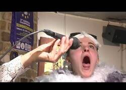 Enlace a En Bélgica se celebra el campeonato de imitación de gaviotas