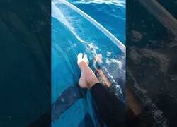 Enlace a ¿Navegarías por las profundidades marinas con un kayak transparente?