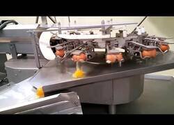 Enlace a Máquinas alimentarias y sorprendentes procesos de elaboración