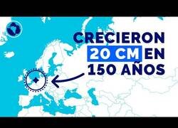 Enlace a ¿Por qué los neerlandeses son los más altos del mundo?