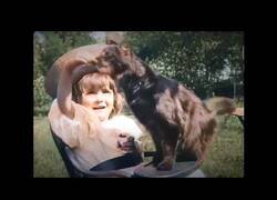 Enlace a La primera filmación de un gato de la historia