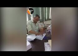 Enlace a Experto y veloz estampador de sellos