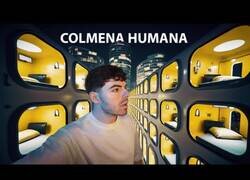 Enlace a Colmenas Humanas: ¿Viviremos así en el futuro?