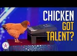 Enlace a Jokgu, la gallina que toca el piano