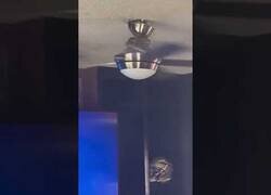 Enlace a Lo peor que te puede pasar con un ventilador