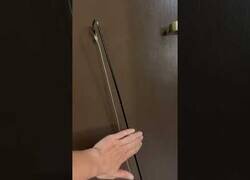 Enlace a Cuando intentan robar en la habitación de hotel en la que estás alojado