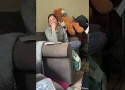 Enlace a Cuando tocas la flauta pero tienes gato