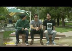 Enlace a El vídeo tonto del día