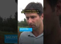 Enlace a Los cisnes adictos a la amapola que no sabían volar