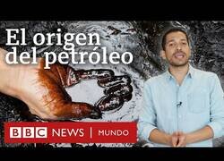 Enlace a ¿De dónde viene el petróleo?