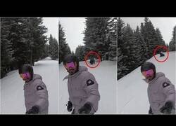 Enlace a Cuando te grabas haciendo snow y un oso te persigue