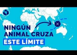 Enlace a La enorme barrera invisible de la Línea de Wallace