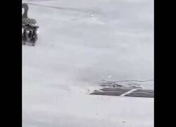 Enlace a Salvando a los patitos que Mamá pato había perdido