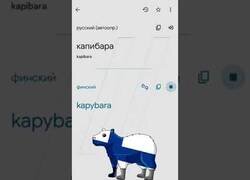 Enlace a Así se pronuncia 'Capibara' en distintos idiomas